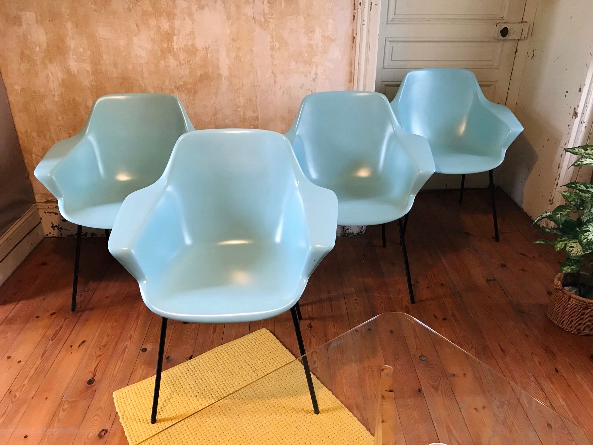 Pierre Guariche's Vampire 4 chair, edition "Maison du Monde"