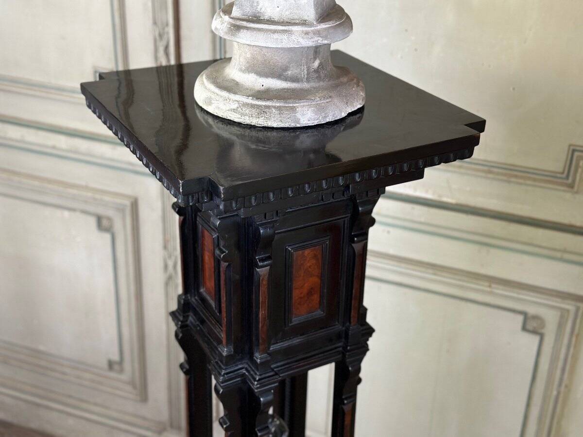 A pedestal table in blackened wood and burl veneer, superb assembly of moldings circa 1880