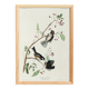 Poster about the Canada Chickadee, based on an old engraving from 1827.