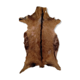 Vintage skin 95x60 cm