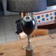 Paire de lampes