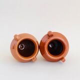 Pair of terracotta amphora vases