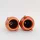 Pair of terracotta amphora vases
