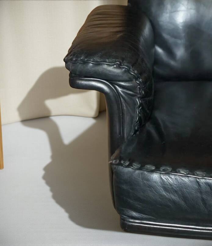 Executive armchair De Sede