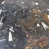 Table basse vintage en pierre fossilisée