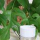 Set of 5 Letang Remy espresso cups, 1980s