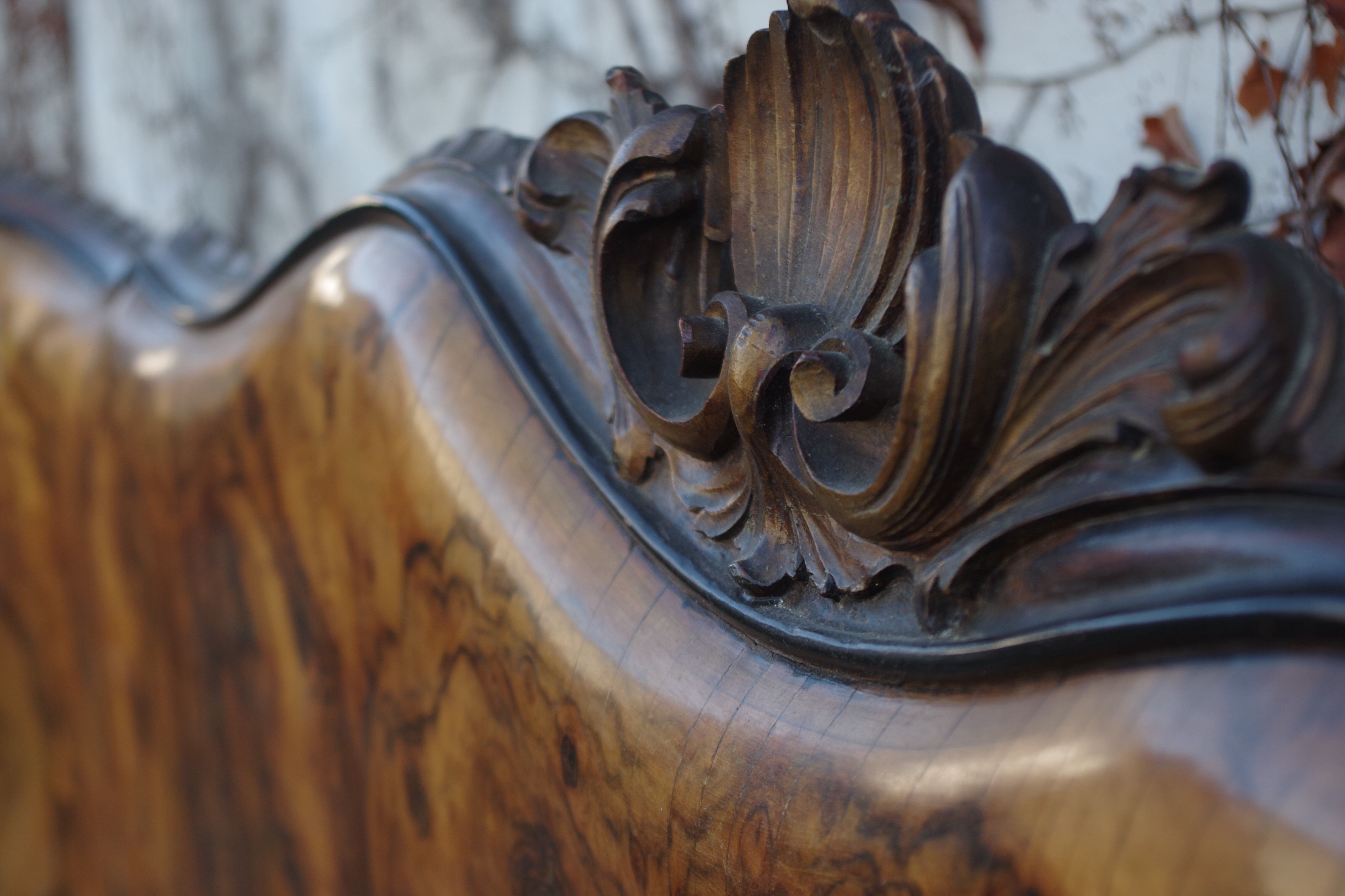 Rounded Walnut Burl Double Bed, 1950s