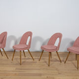 Dining Chairs by Antonín Šuman  for Tatra, 1960s, Set of 4