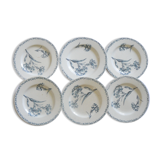 Lot de 6 assiettes plates  "terre de fer" modèle oeillet