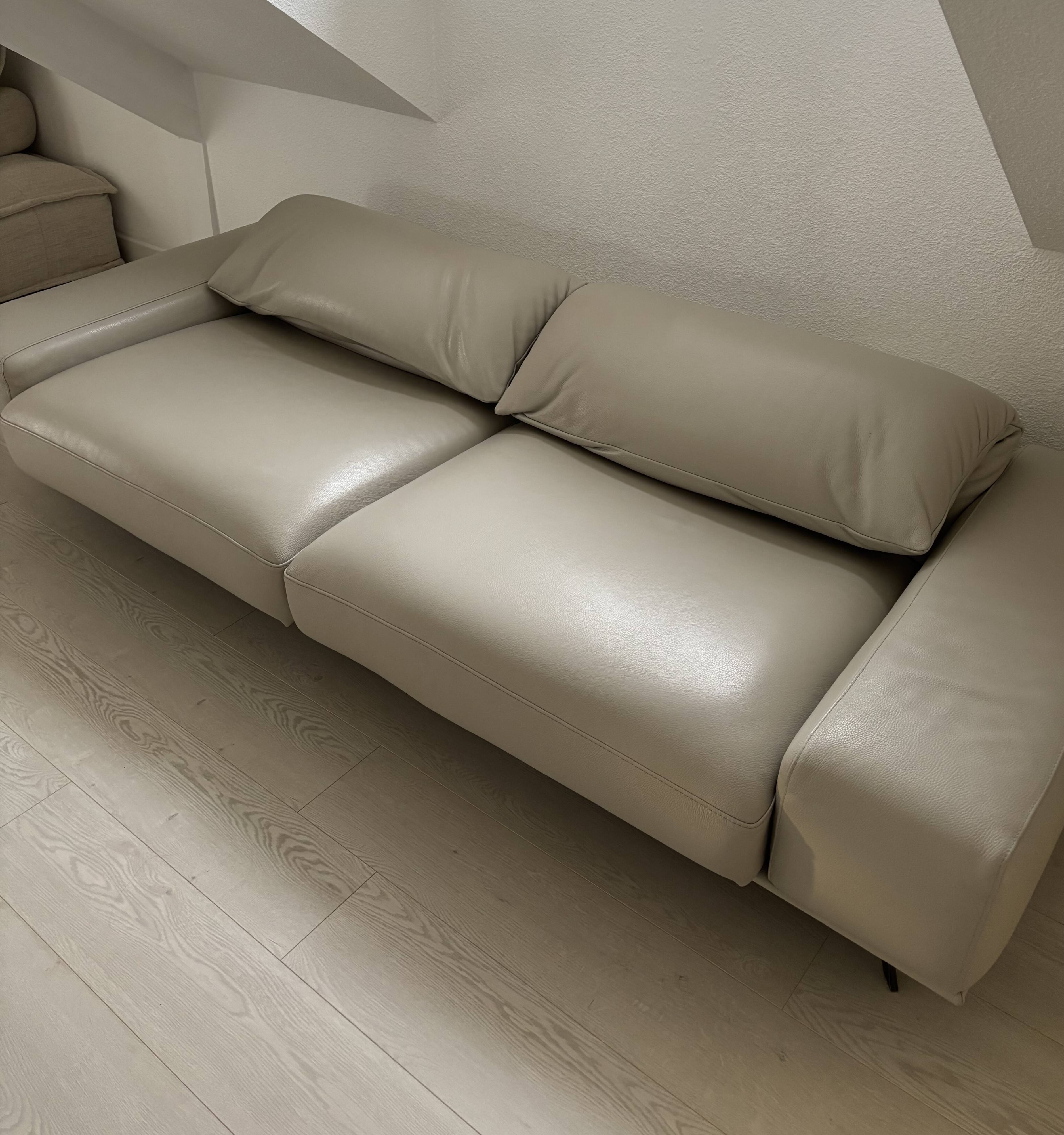 Roche bobois sofa