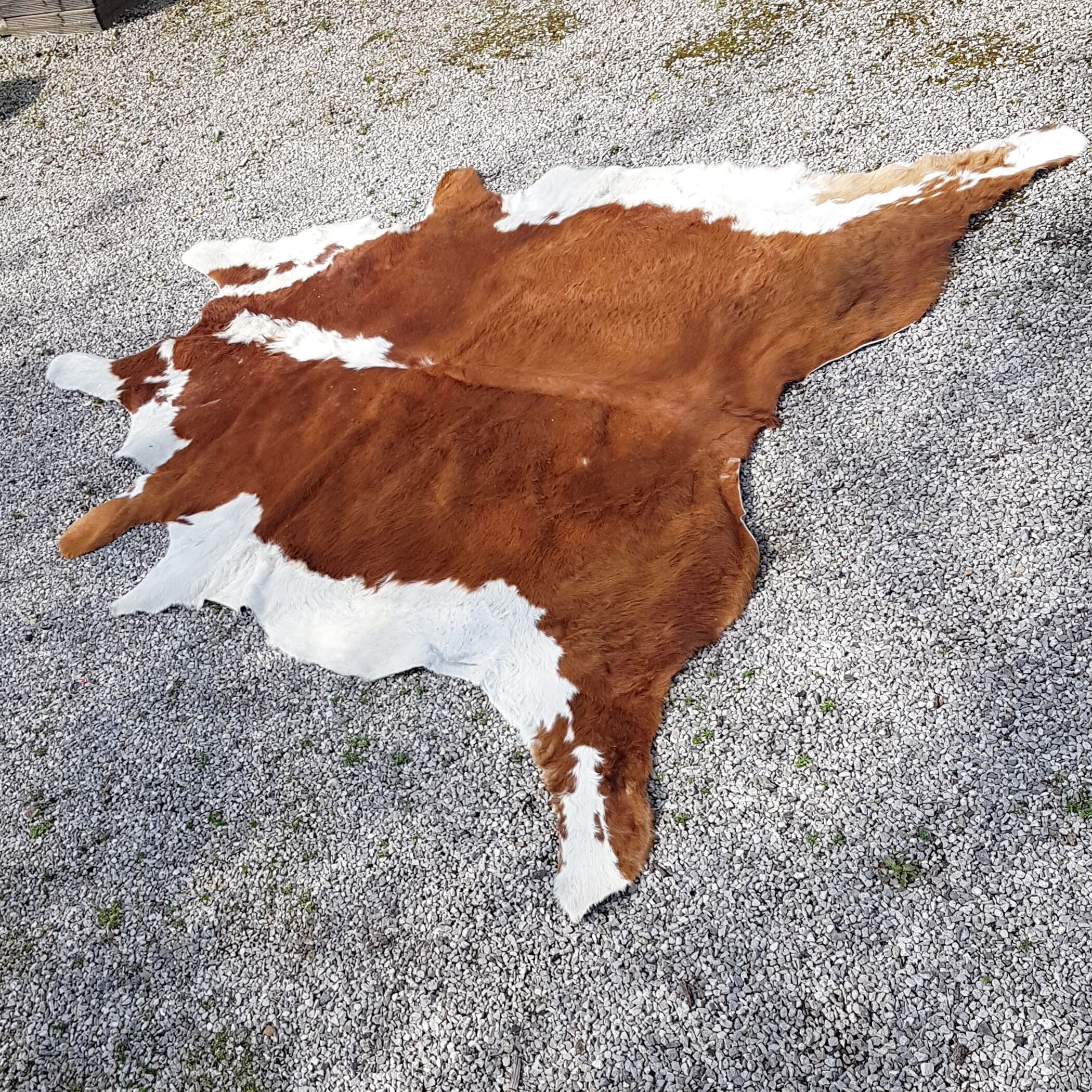 Vintage cow skin 230 x 210 cm