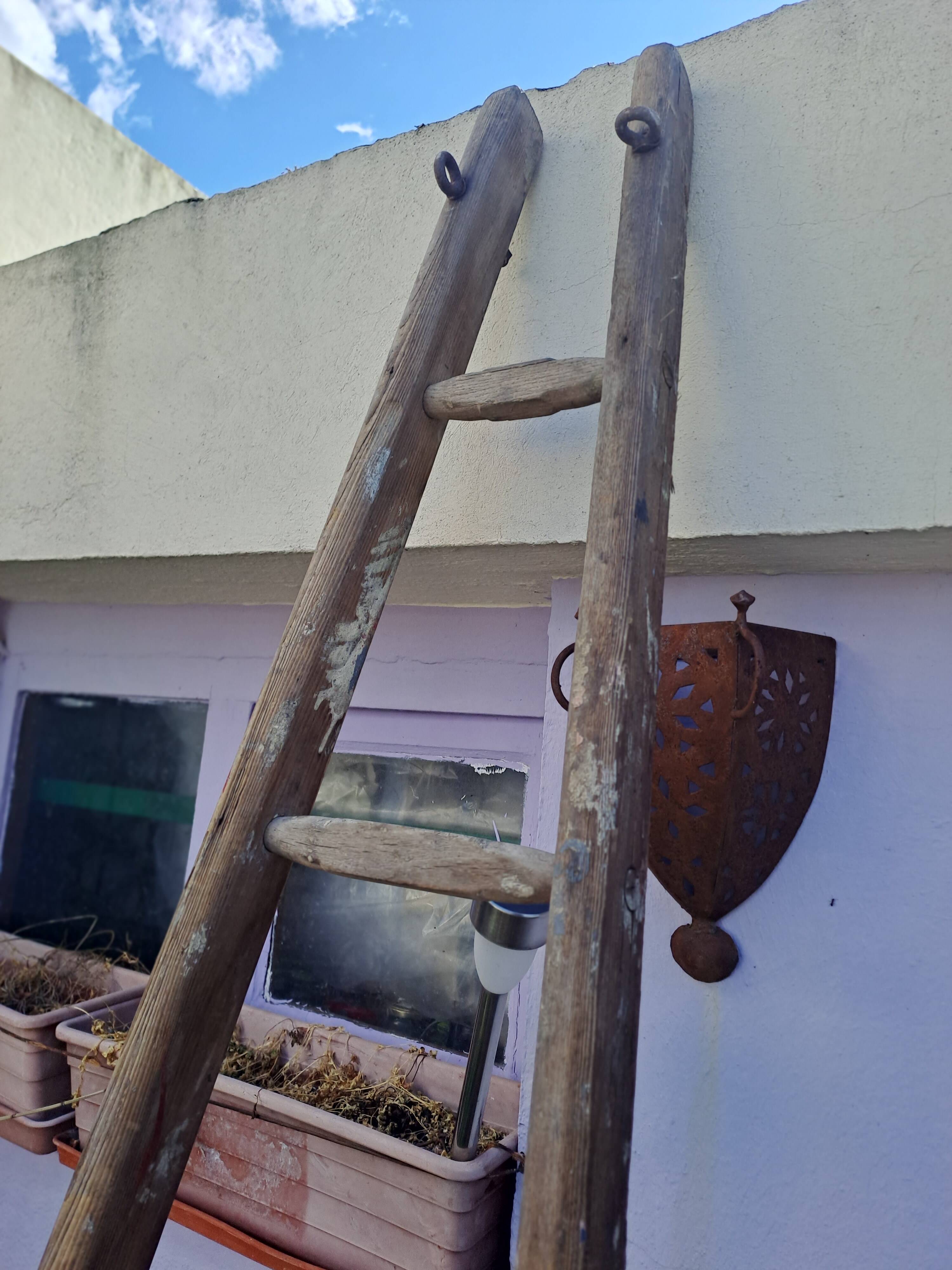 Vintage wooden picking ladder 7 rungs