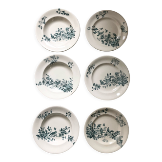 6 plates iron earth birds Longwy "cute"