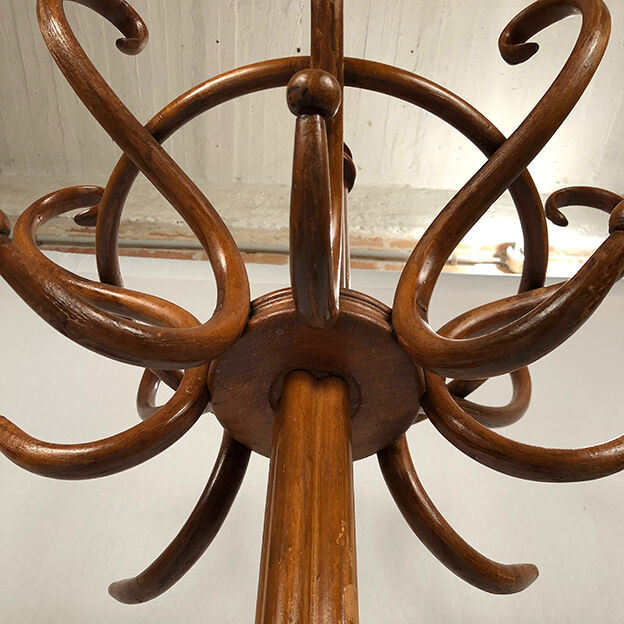 Parrot coat rack in bentwood