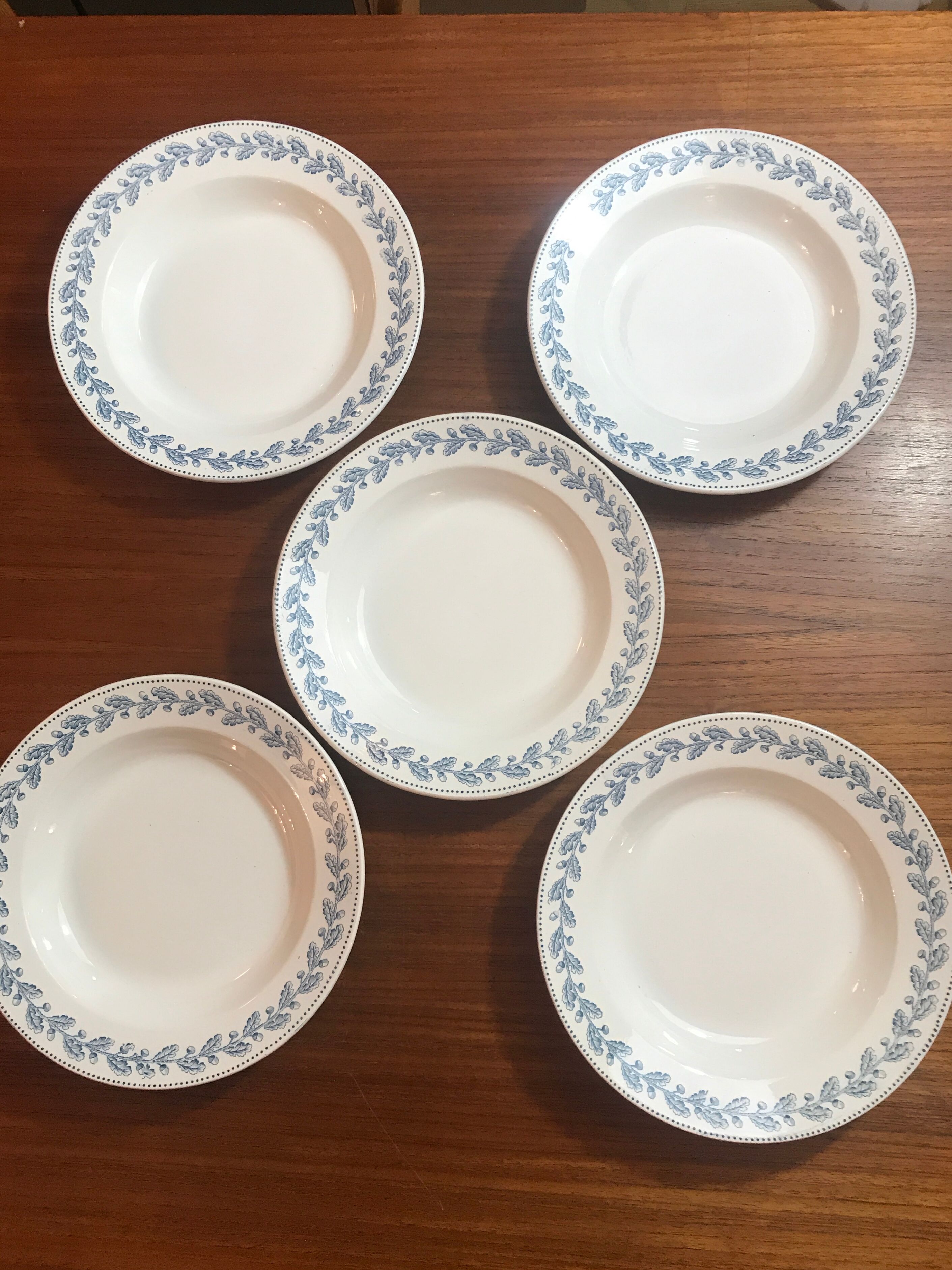 5 hollow plates Terre de Fer Sarreguemines early 20th century