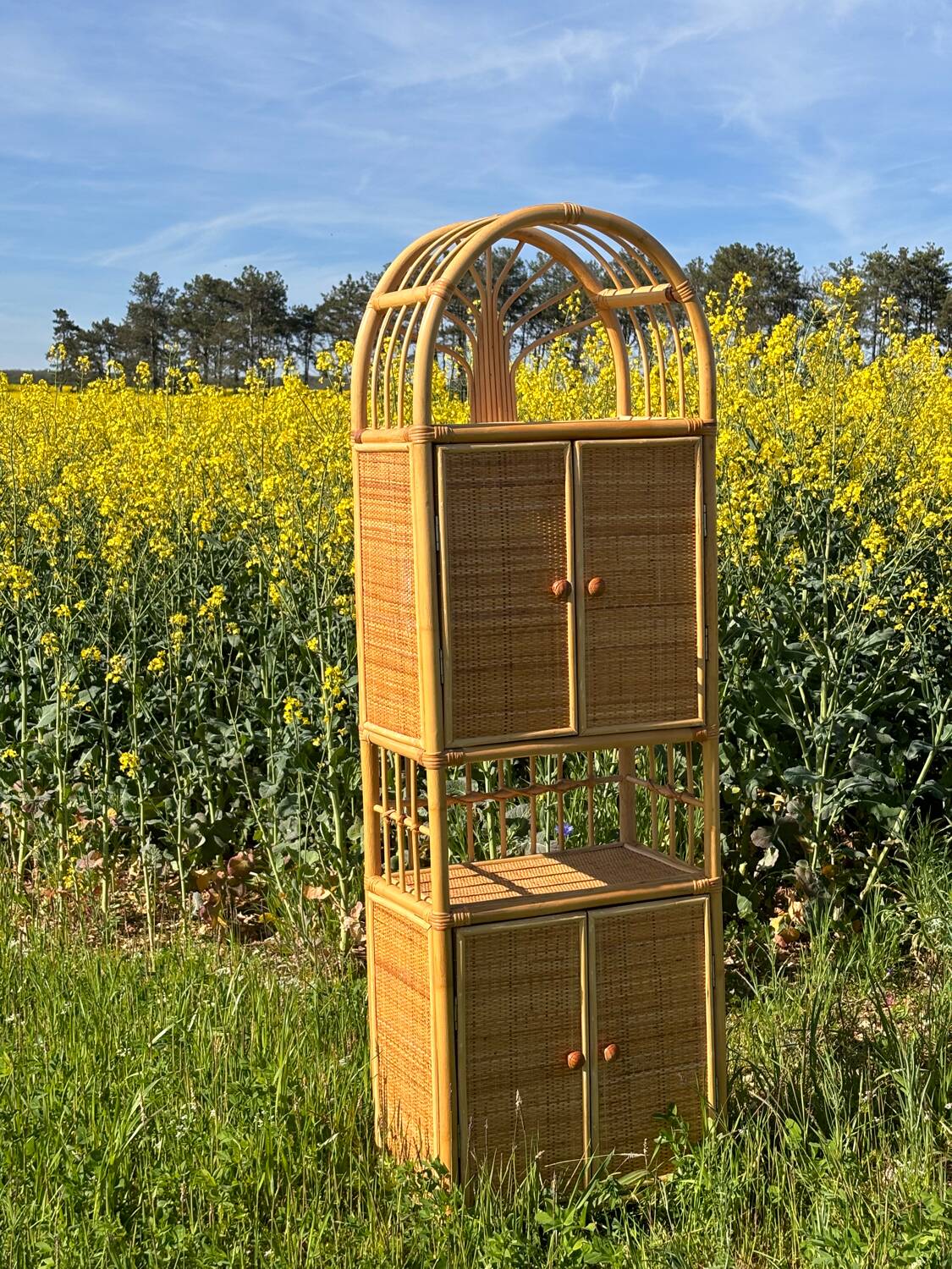 Storage unit, rattan bookcase, 1970