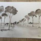 Painting signed monochrome watercolor “pine forest in Provence”