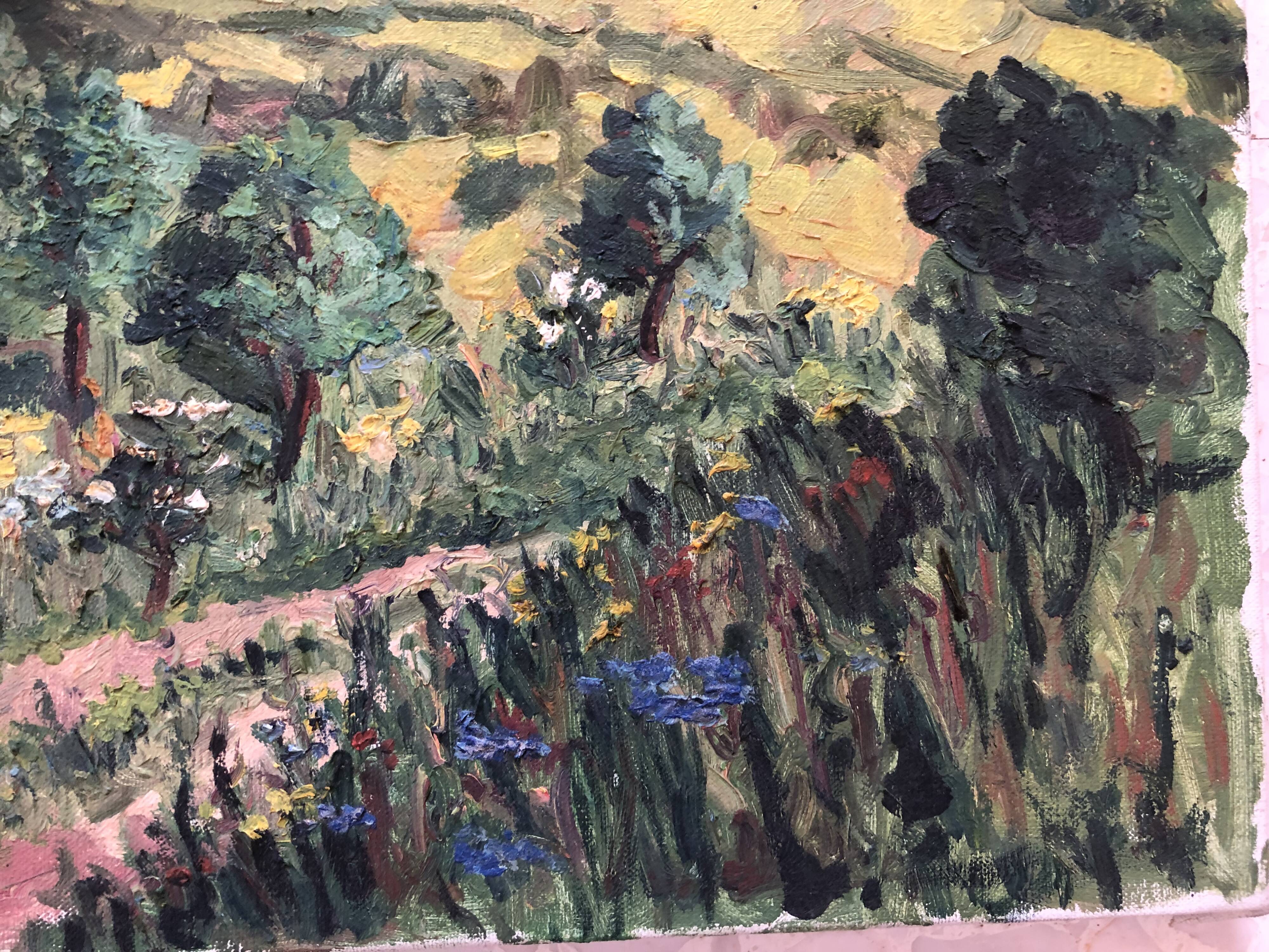 Oil on canvas pyrenees mountain landscape, signed a. baland 1988, unframed