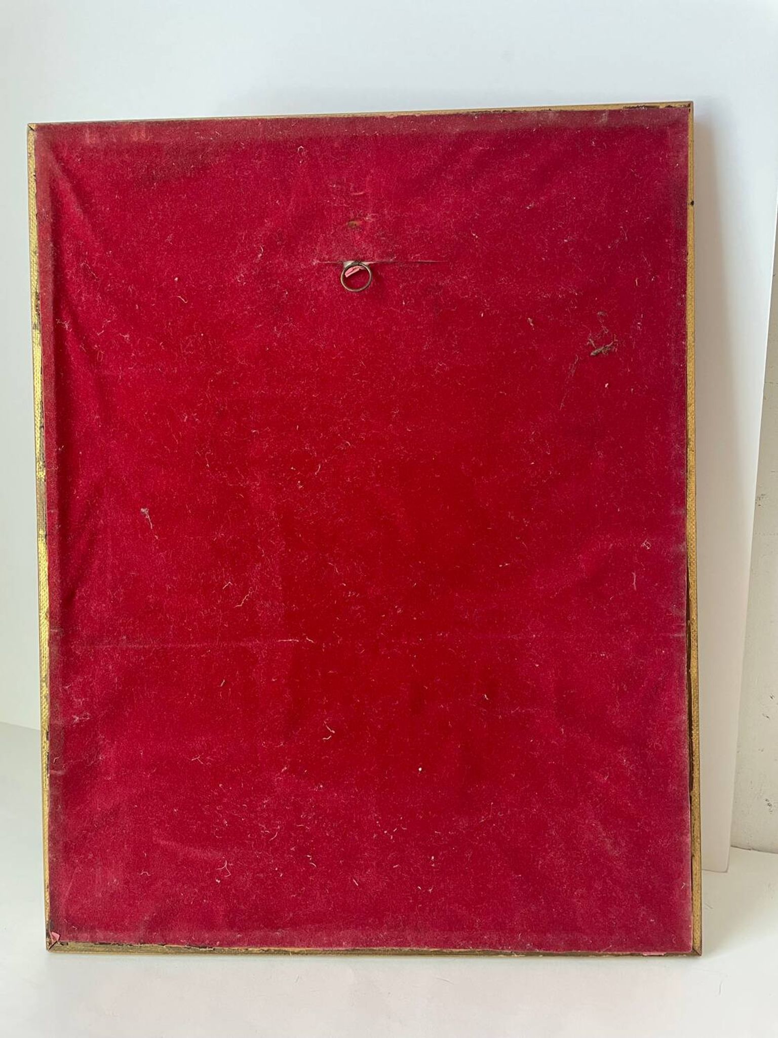 Botanical poster PJ Redoute
