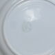 Vintage round dish Moulin des Loups - green