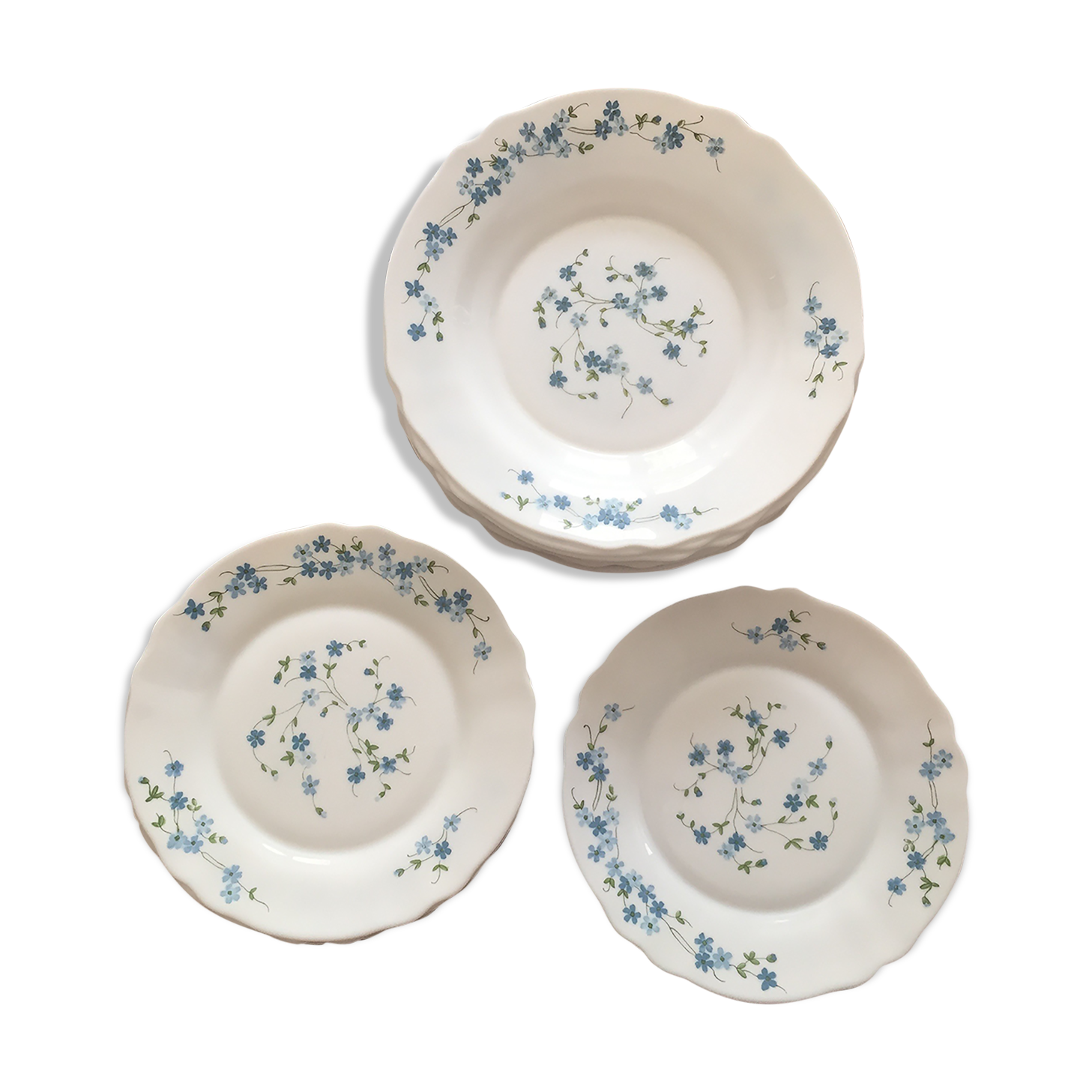 Set of 13 plates (6 dessert plates + 7 creuses "myotis" arcopal)