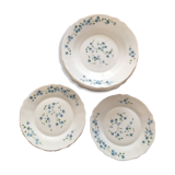 Lot de 13 assiettes (6 assiettes desserts + 7 creuses "myotis" arcopal)