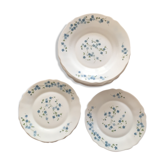 Lot de 13 assiettes (6 assiettes desserts + 7 creuses "myotis" arcopal)
