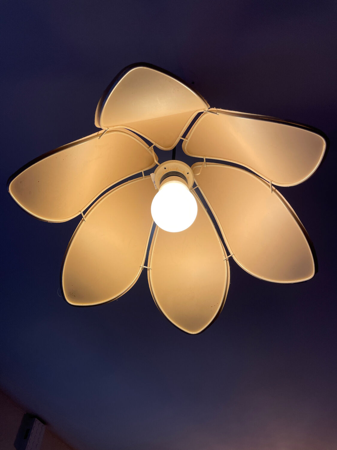 Flower hanging lamp