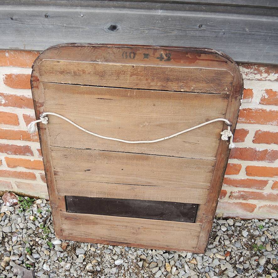 Antique Louis Philippe Mirror with Faux Macassar Frame