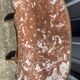 Coffee table, kidney-shaped, side table, marble top