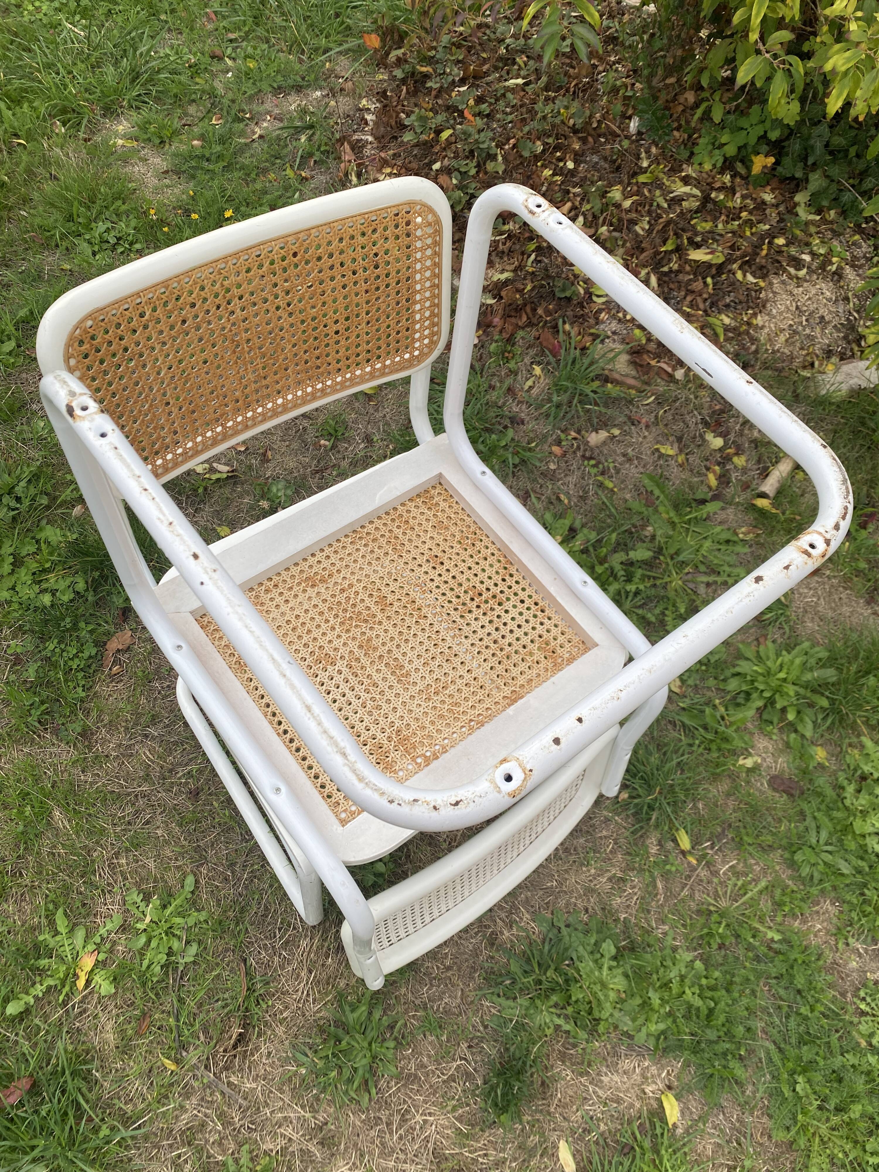 White cescas chairs