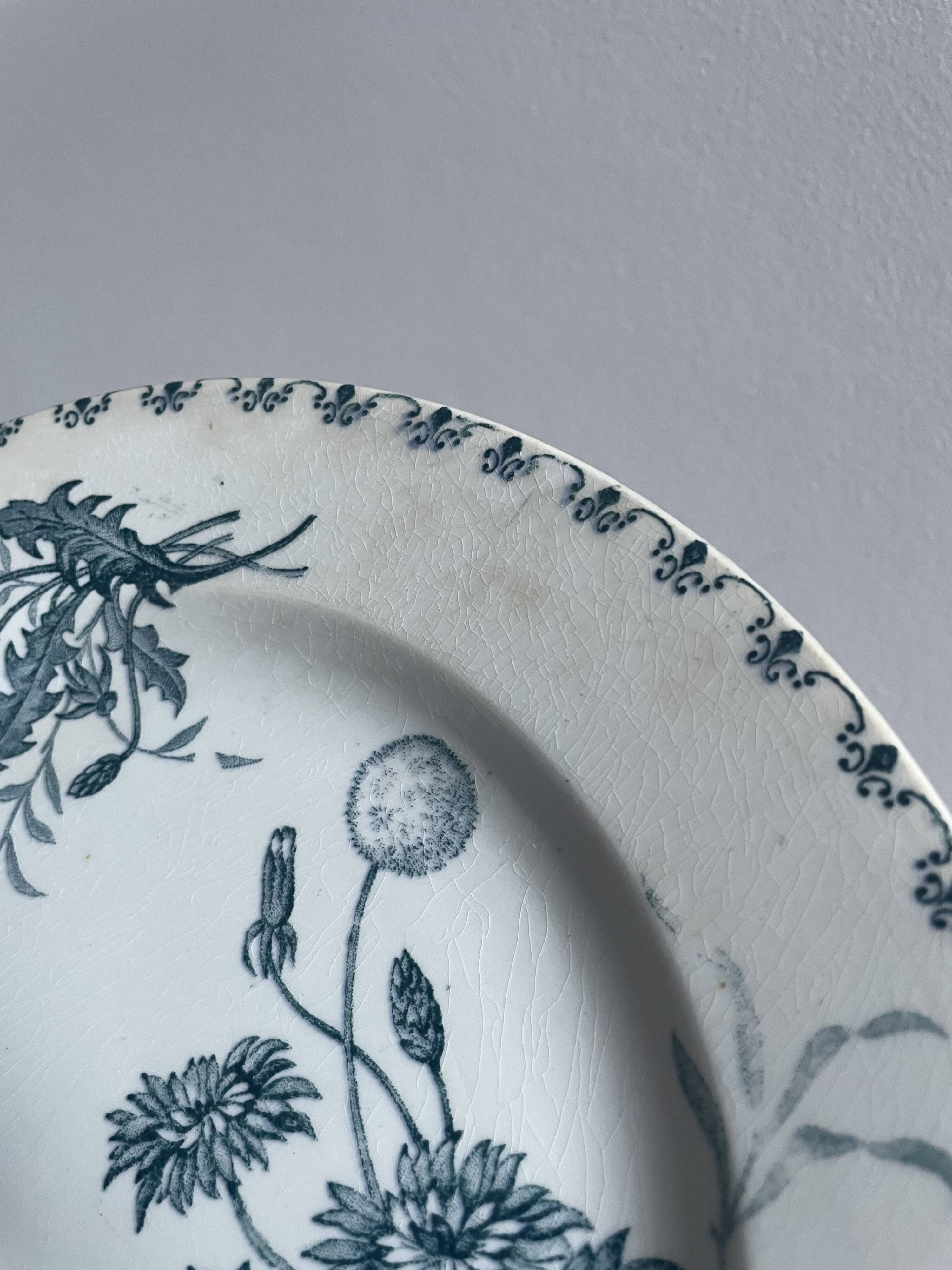 Set of 10 flat plates Terre de Fer XIXth, "Madrid"