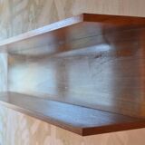 Vintage teak shelf designed by W.Wirz for Wilhelm Renz Germany of the 60s