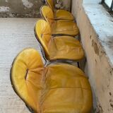 4 chairs Rinaldi "Sabrina" yellow leather