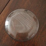 Hermès paire d'assiettes en verre à motif de dauphins