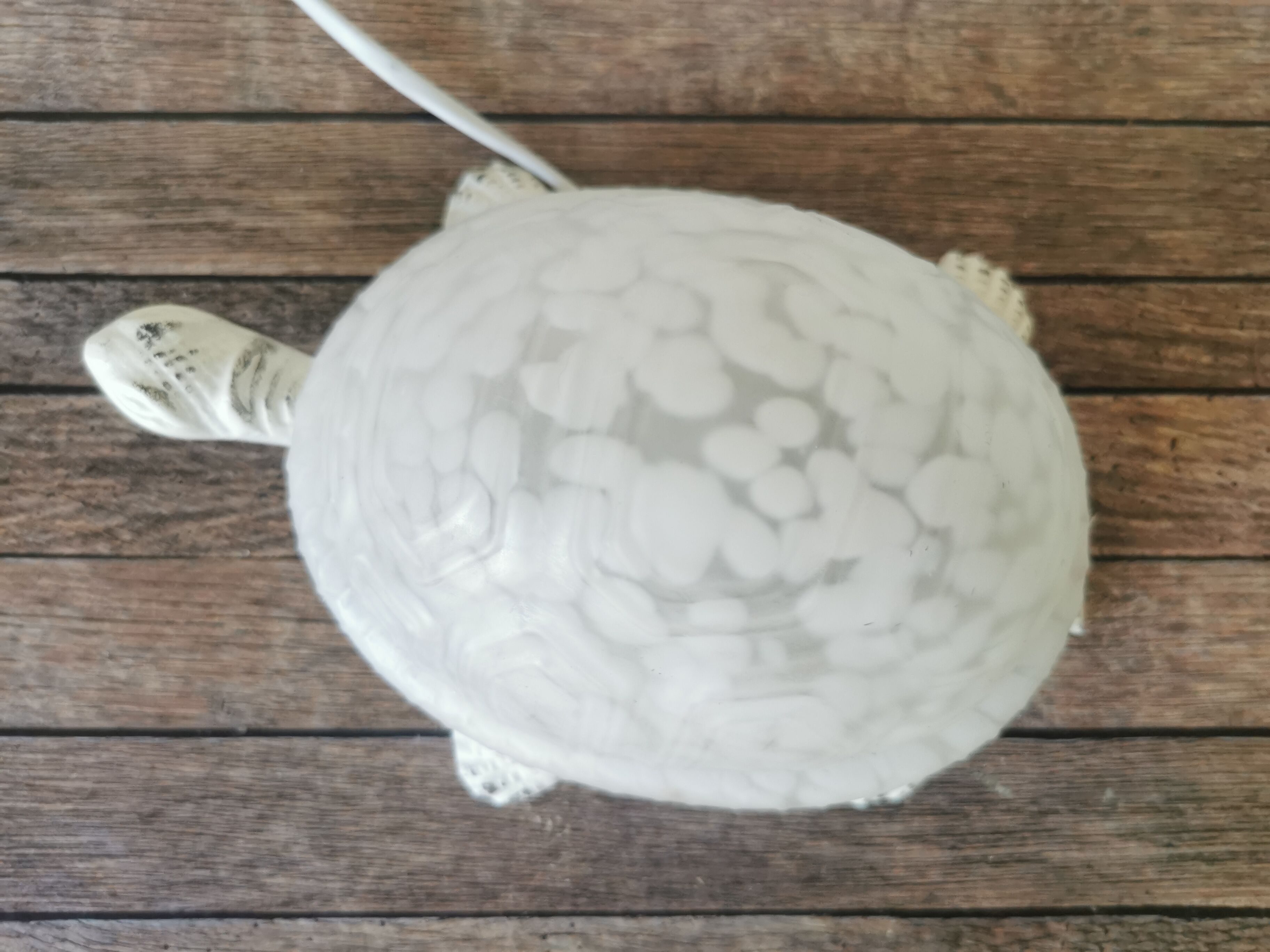 Turtle lamp