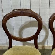 Suite de 4 chaises anglaises Victoriennes 19ème en Acajou