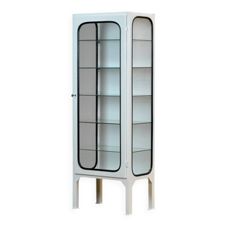 Armoire médicale vintage en fer et verre restaurée, années 1970