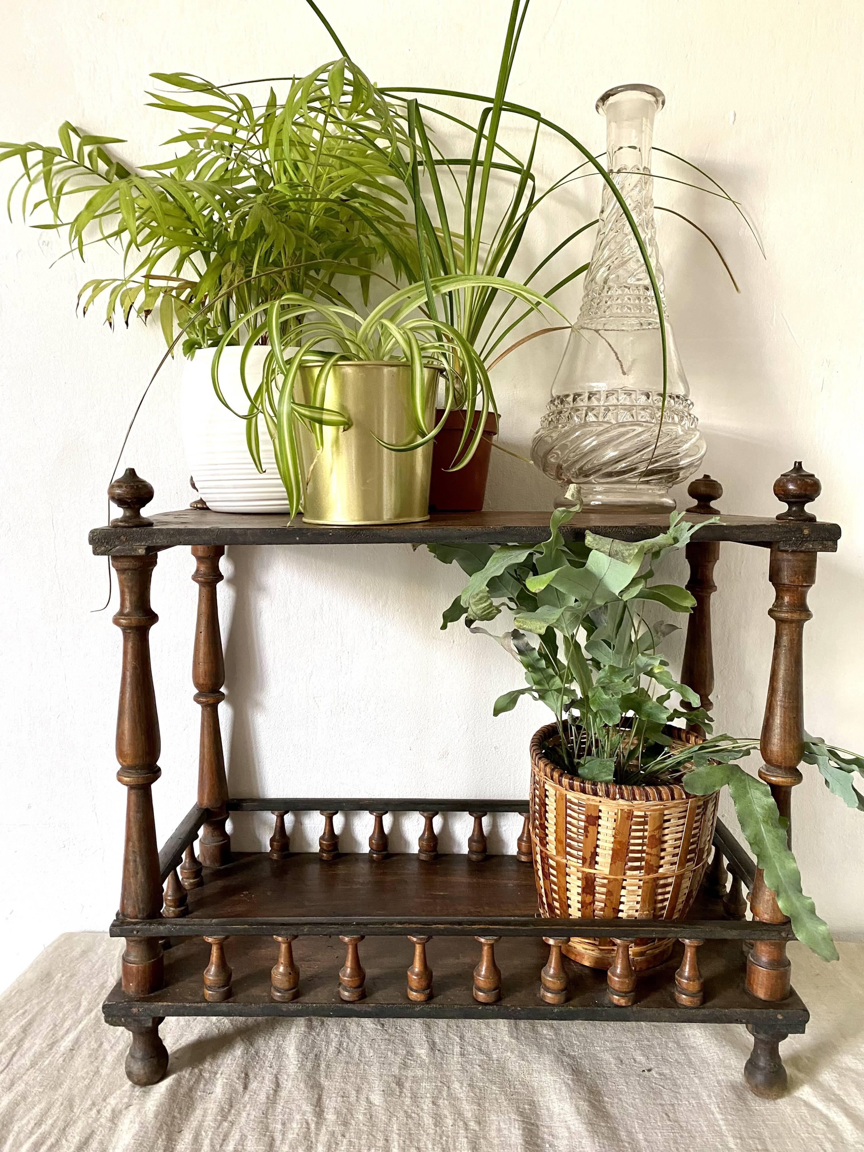 Porte plantes étagères en bois