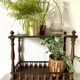 Porte plantes étagères en bois