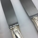 12 silver metal knives.