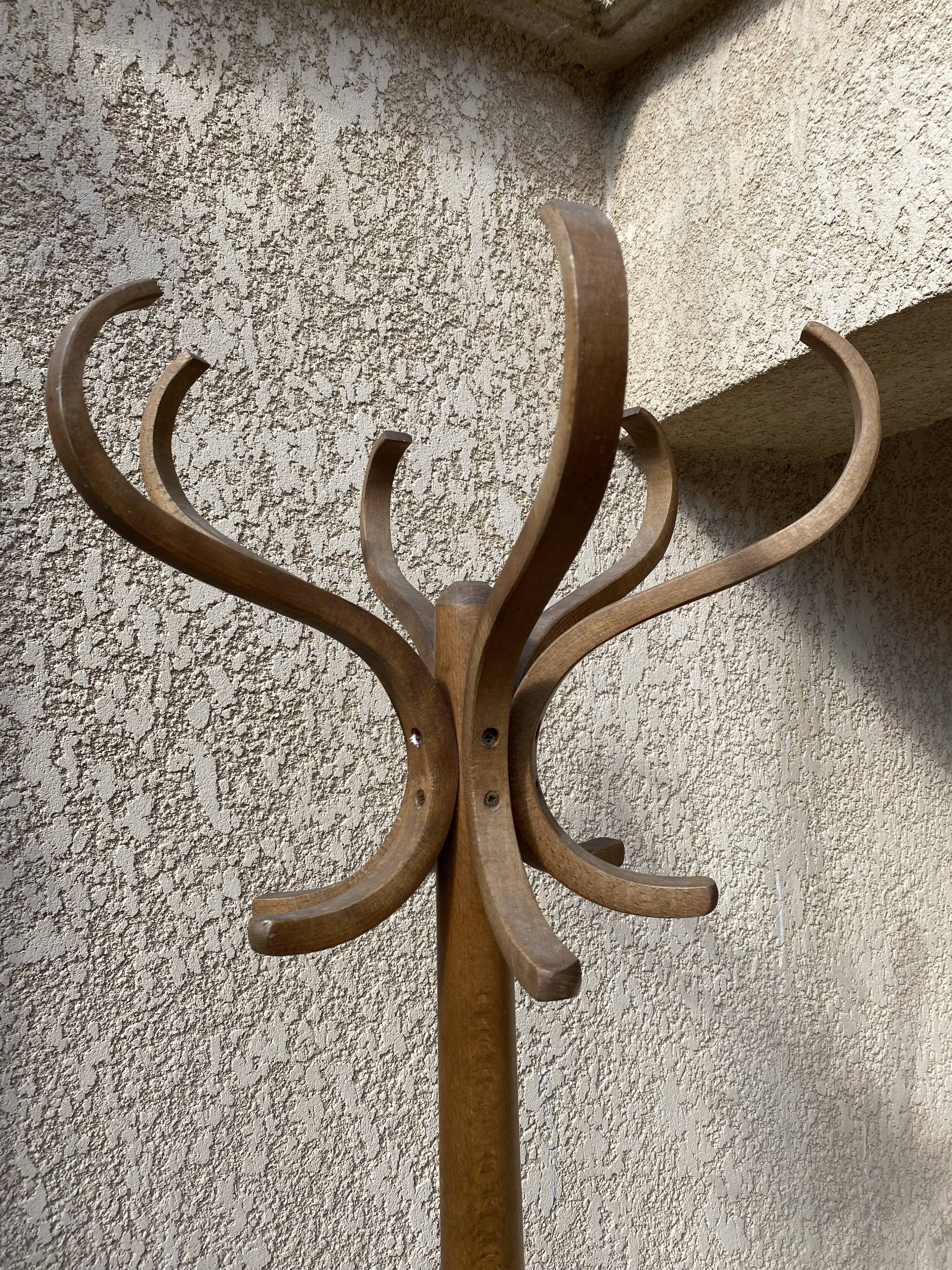 Parrot coat rack