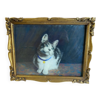Animal painting cat minouche in gouache signed morris 1934 wooden frame