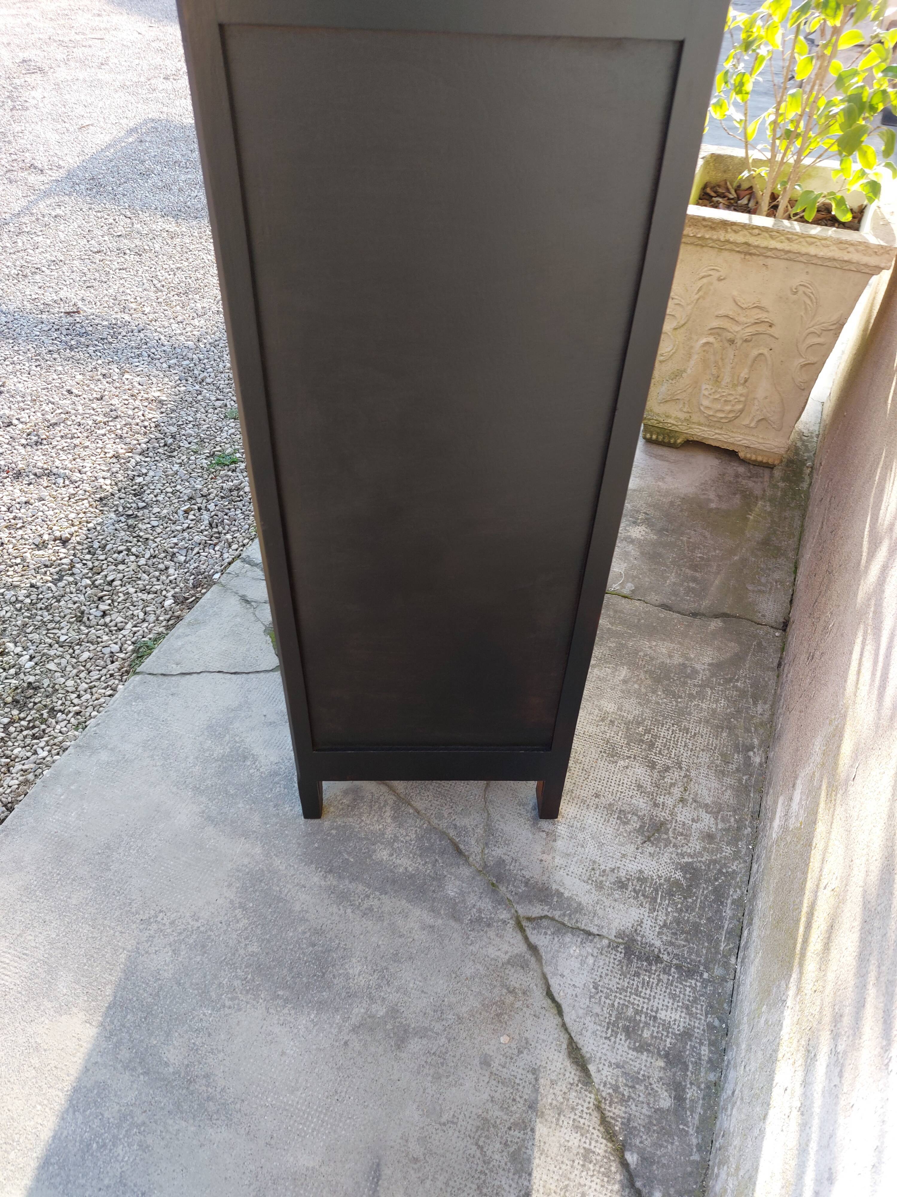 Parisian antique black patinated showcase