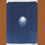 Cyanotype