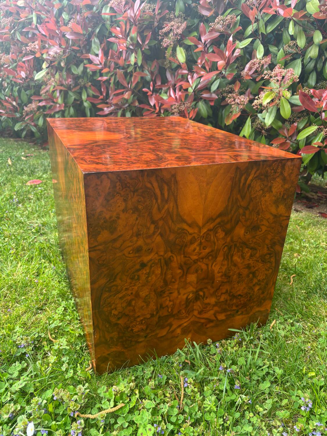 Cube en loupe de ronce
