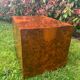Cube en loupe de ronce