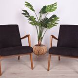 Type 300-138 Beech Armchairs from Bystrzyckie Furniture Factory, 1960s, Set of 2