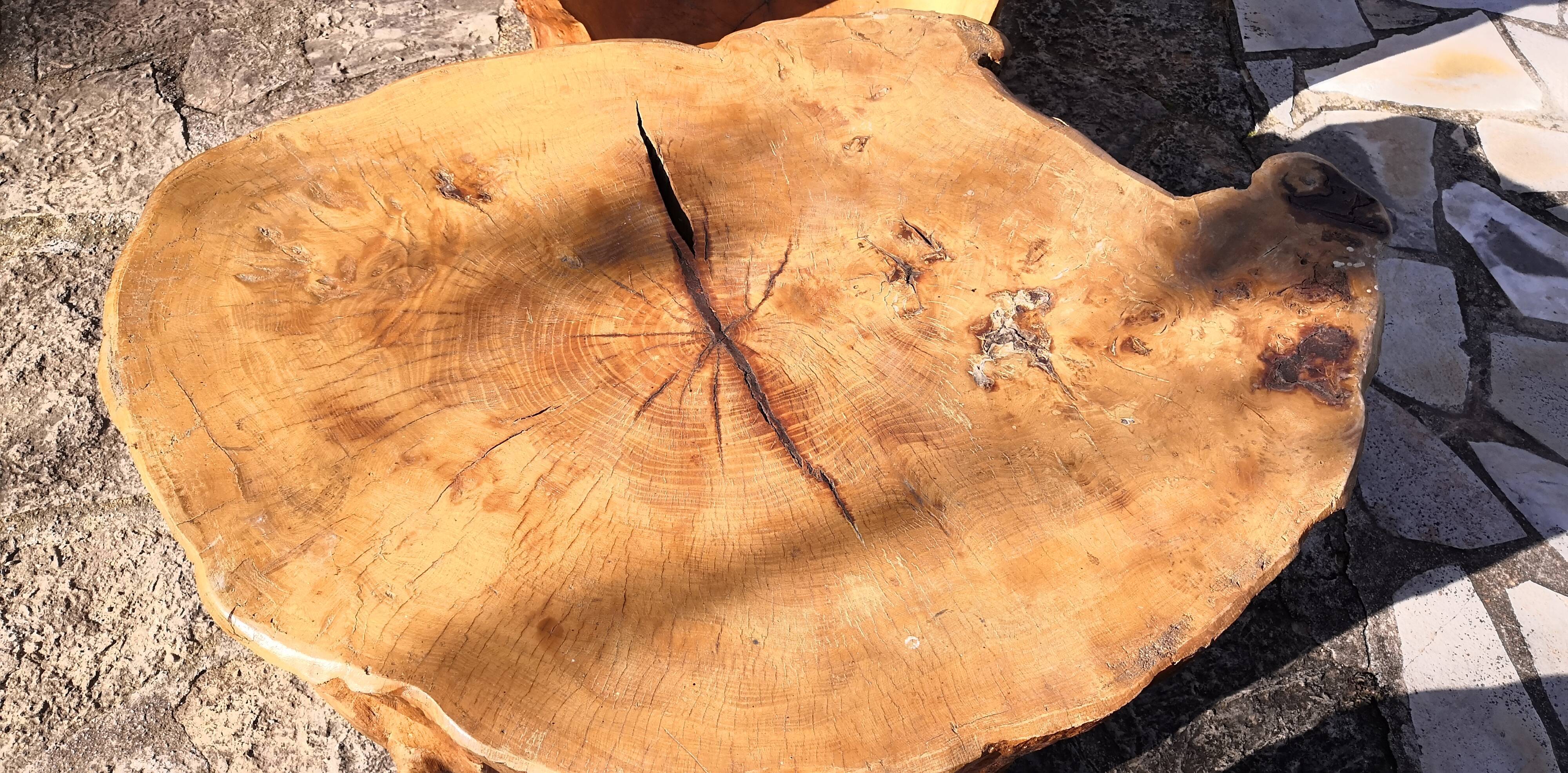 Living room 2 armchairs & coffee table in elm brutalist design 1950