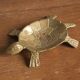 Ashtray / empty turtle brass pockets